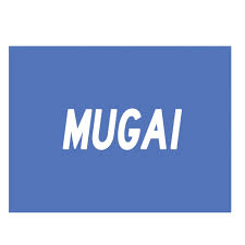 Informasi Recruitment 2024 PT Mugai Indonesia